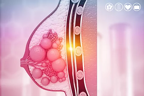 Investigadores del MD Anderson dejan al desnudo todos los secretos de las células mamarias